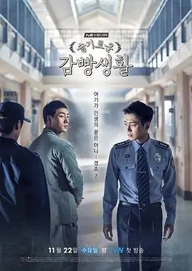 长街灯火剧集封面